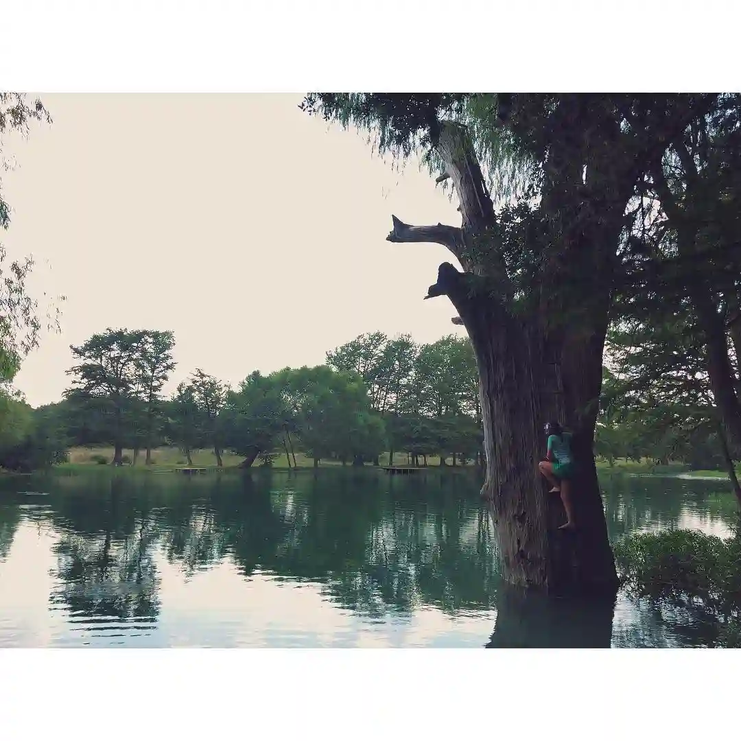 15+ Best Swimming Holes in Texas You Need to Visit 5 Utopia City Park