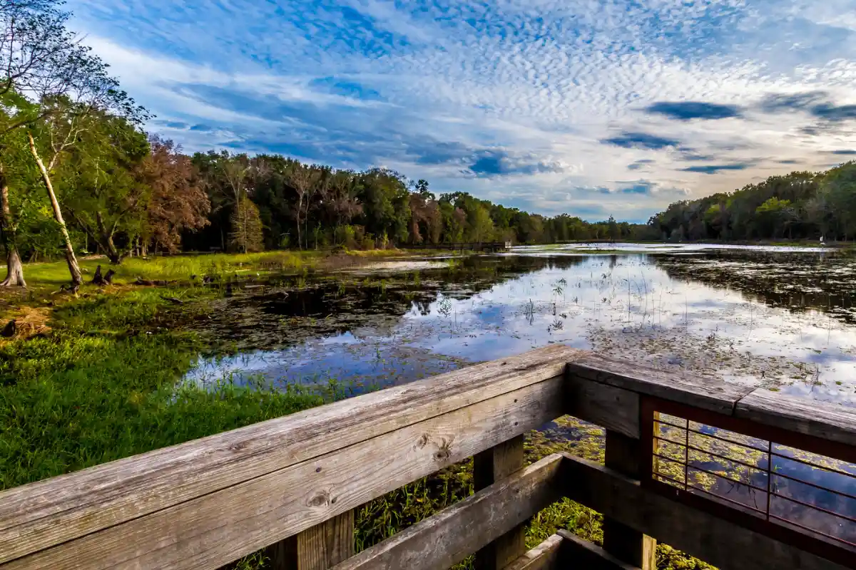 Brazos Bend State Park