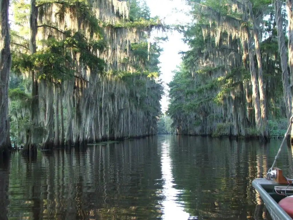 Caddo Lake State Park