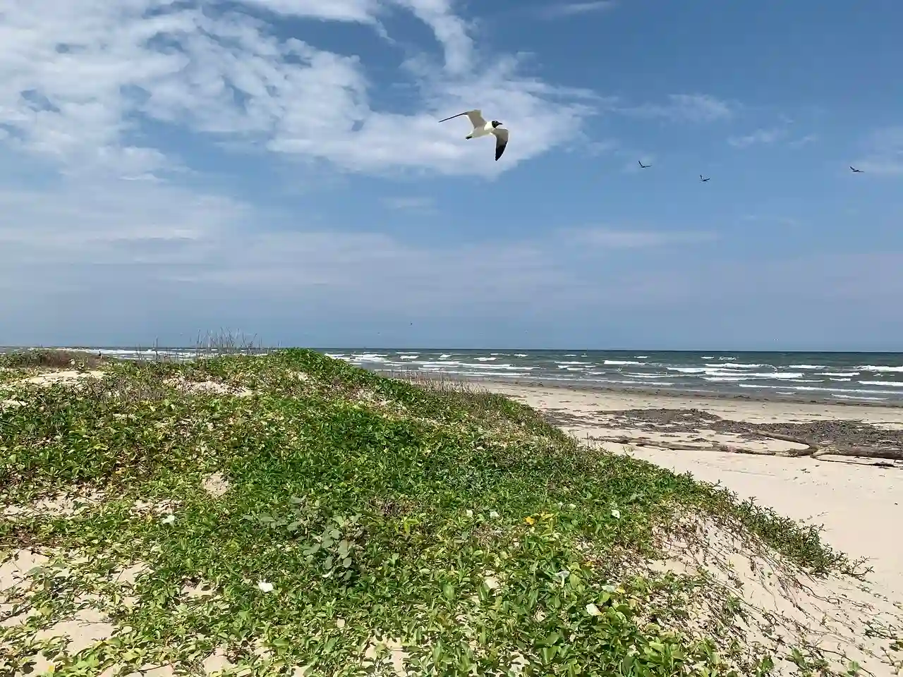 Mustang Island State Park
