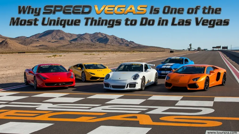 Why SPEED VEGAS Is One of the Most Unique Things to Do in Las Vegas