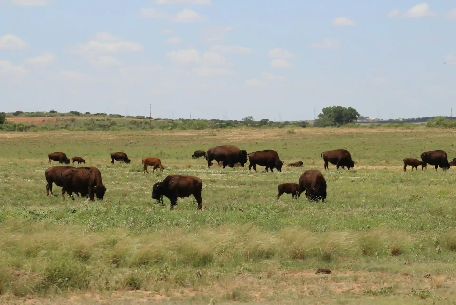 25 Most Beautiful Places in Texas to Take Pictures 11 Caprock Canyons