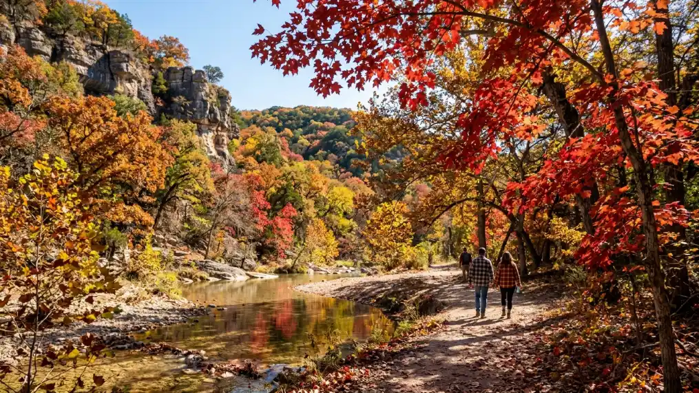 Expert Guide to Texas in Fall: Best Places to Visit, Foliage & Fall Festivals 13 Lost Maples Fall Foliage Season