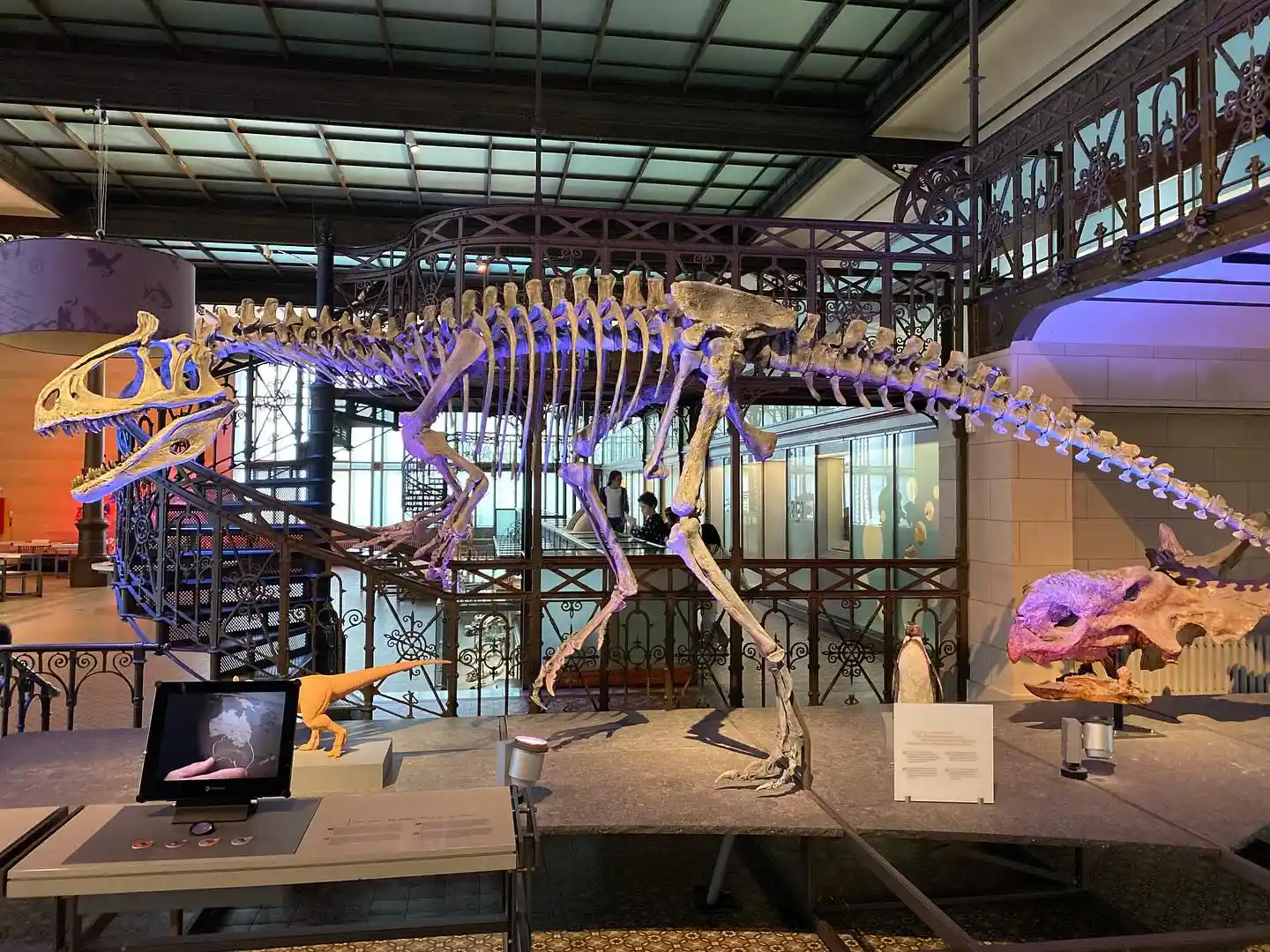 Expert Guide to Texas in Fall: Best Places to Visit, Foliage & Fall Festivals 8 Natural Science Museum and Wildlife Sanctuary