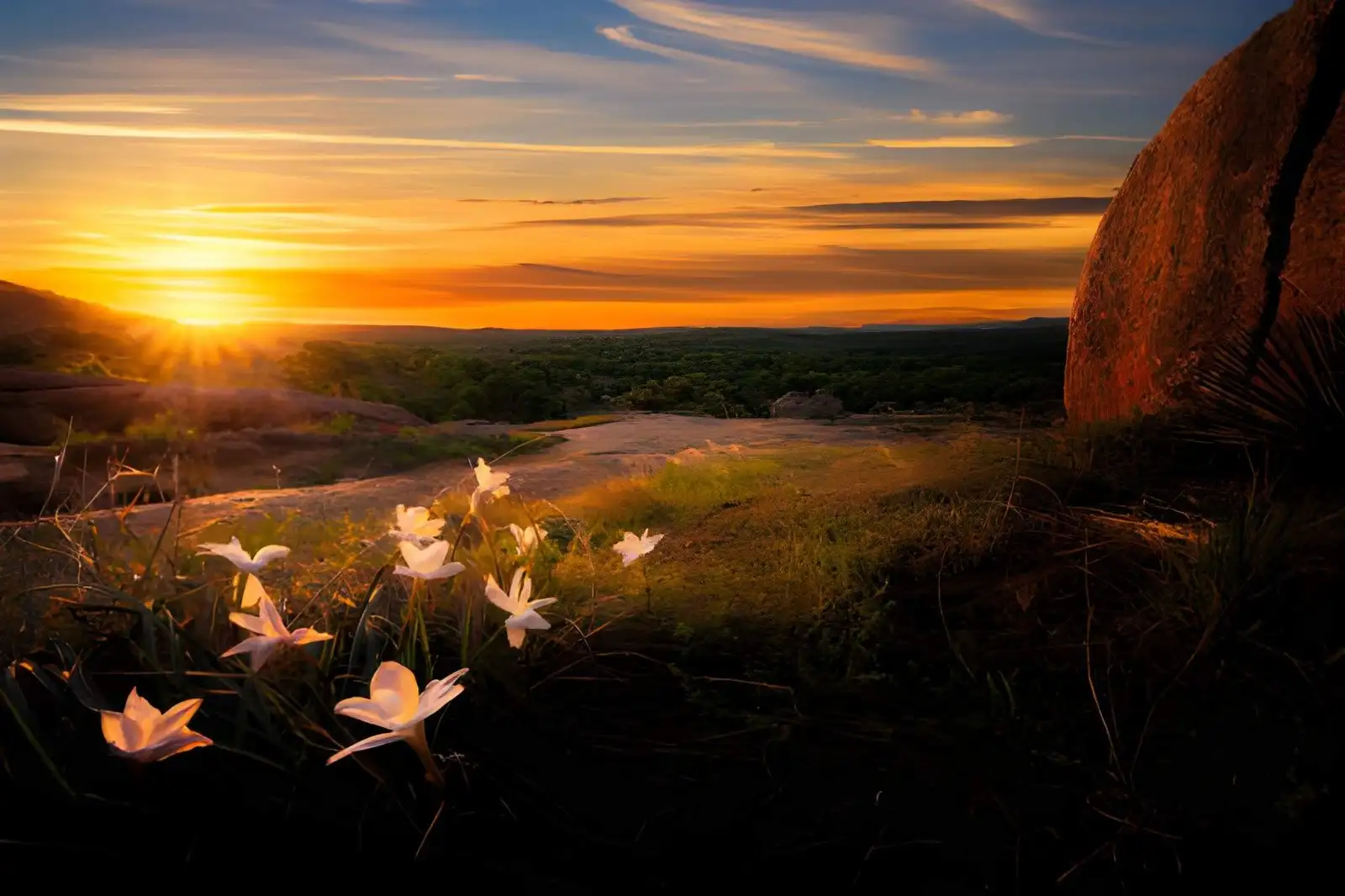 Things to Do in Fredericksburg Texas (2026): Hidden Gems + Local Favorites 2 enchanted rock fredericksburg