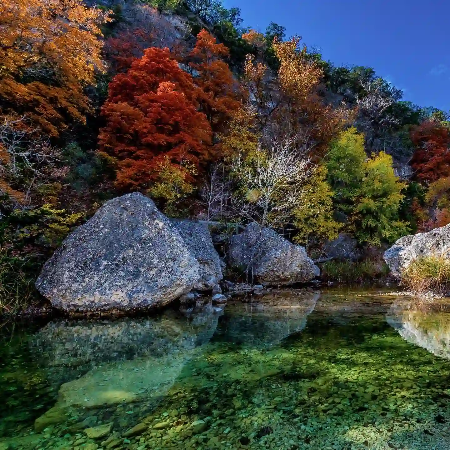 Expert Guide to Texas in Fall: Best Places to Visit, Foliage & Fall Festivals 12 fall foliage season at Lost Maples State Natural Area