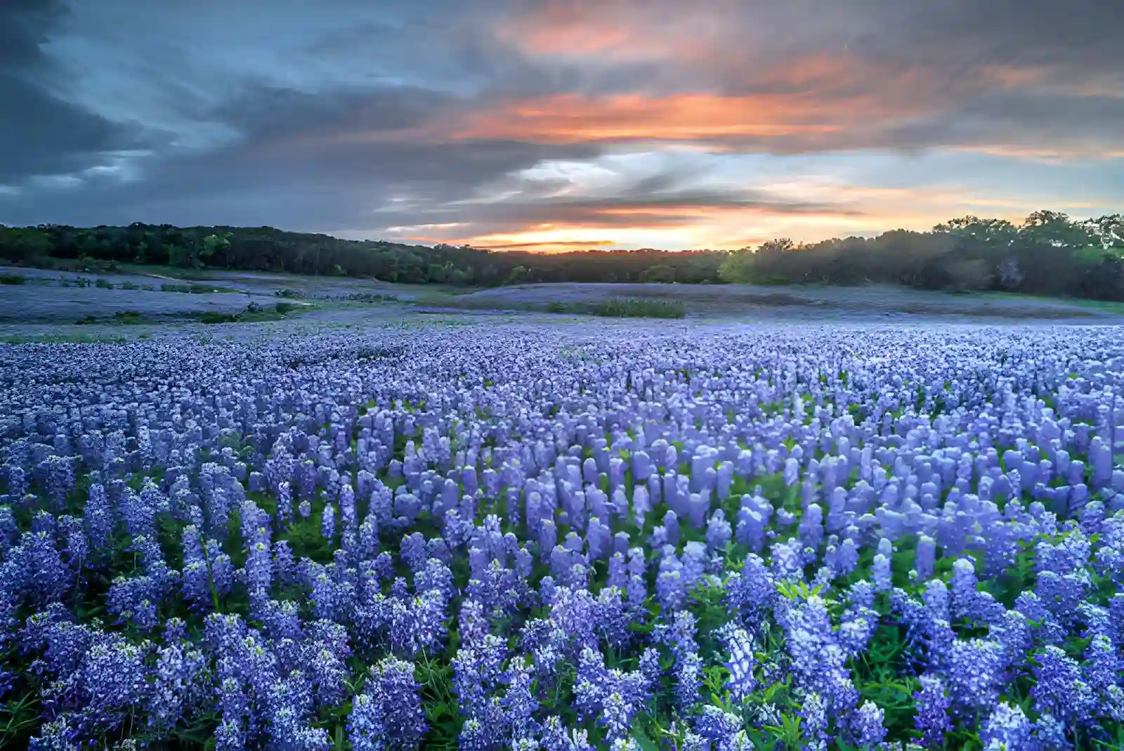 Hill Country