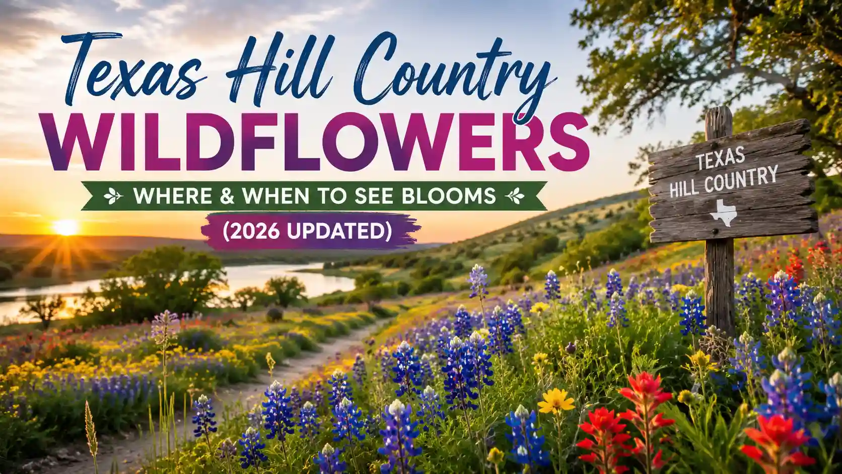 Texas Hill Country Wildflowers: Where & When to See Blooms (2026 Updated)